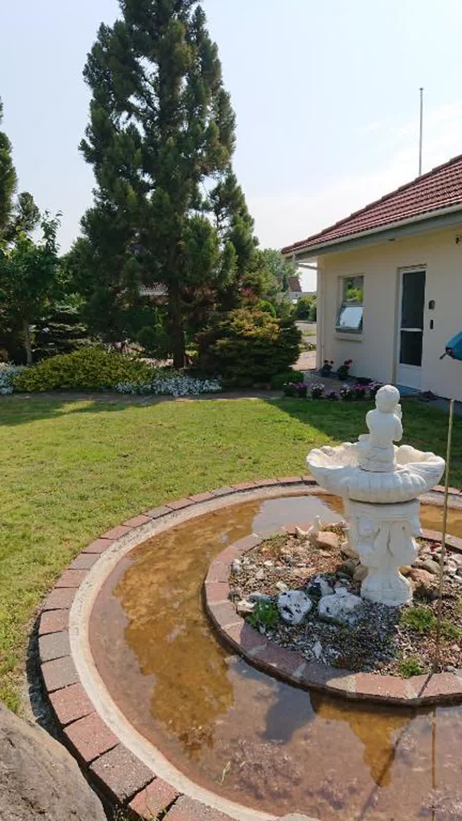Garden and fountain